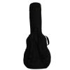 Ritter Arosa RGA5-SA/SBK Sea Ground Black Gigbag na gitarę semi hollow body